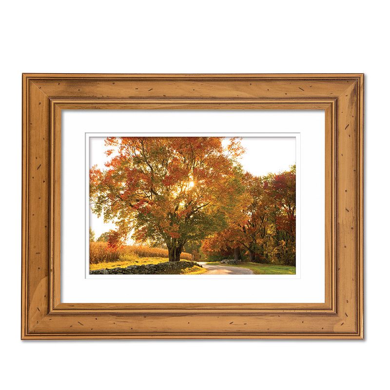 37726290 COURTSIDE MARKET Maple Tree Drive Framed Wall Art, sku 37726290