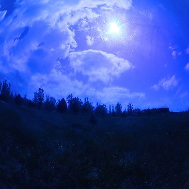 Sunnydaze Blue Mirrored Surface Gazing Globe - 10 in