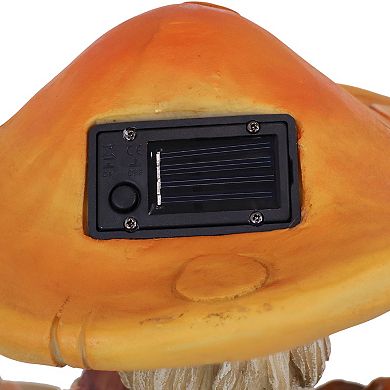 Sunnydaze Bernard the Bookworm with Mushroom Solar-Powered Gnome