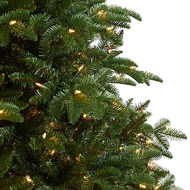 nearly natural 8-ft. South Carolina Spruce Artificial Christmas Tree with 700 White Warm Lights & 3412 Bendable Branches
