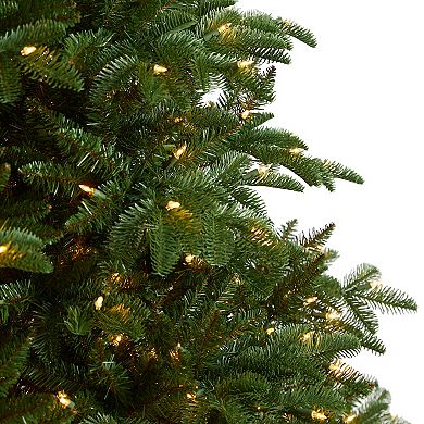 nearly natural 8-ft. South Carolina Spruce Artificial Christmas Tree with 700 White Warm Lights & 3412 Bendable Branches