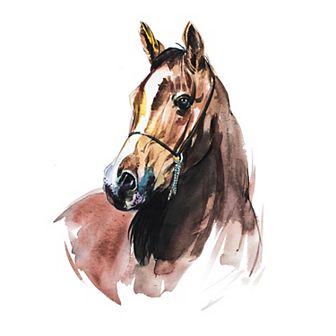 RoomMates Watercolor Wild Horses Wall Decal 10 pc Set