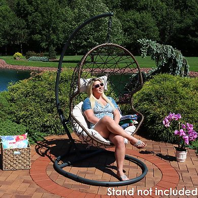 Sunnydaze Outdoor Resin Wicker Danielle Basket Egg Chair