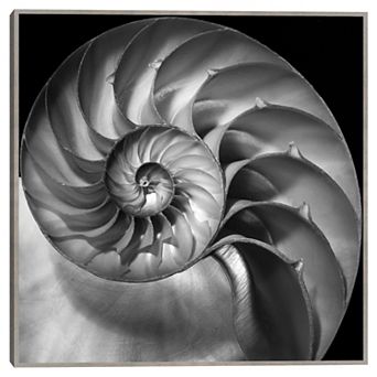 Masterpiece Nautilus 2 Framed Wall Art