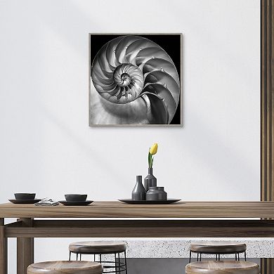 Masterpiece Nautilus 2 Framed Wall Art