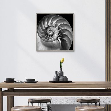 Master Piece Nautilus 2 Framed Wall Art