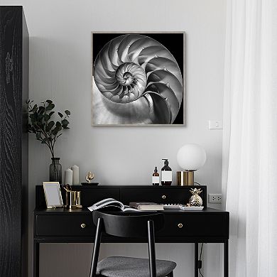 Master Piece Nautilus 2 Framed Wall Art