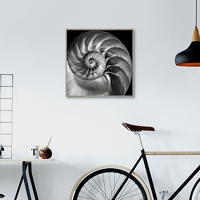 Masterpiece Nautilus 2 Framed Wall Art