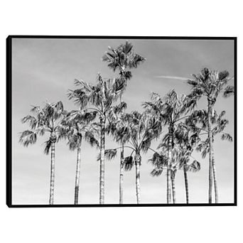 Masterpiece California Palms III Framed Wall Art