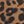 Tobacco Leopard