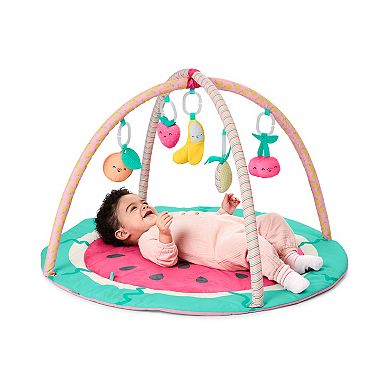 Skip Hop Carters Fruity Fun Gym