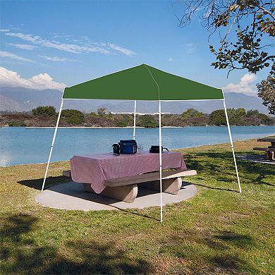 Z-Shade 10 x 10 Foot Instant Shade Canopy, Green & 5 Pound Leg Weights, Set of 4