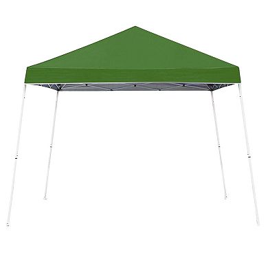 Z-Shade 10 x 10 Foot Instant Shade Canopy, Green & 5 Pound Leg Weights, Set of 4