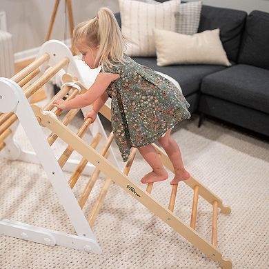 Little Partners Learn 'N Climb Climbing Ladder