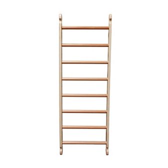 Little Partners Learn 'N Climb Climbing Ladder