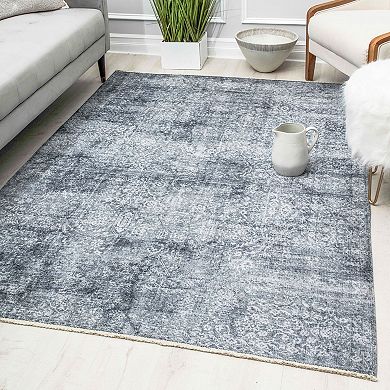 Rugs America Iggi Vintage Transitional Rug