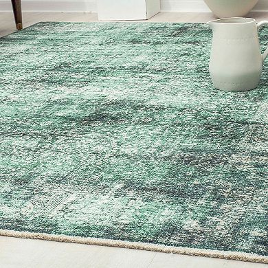 Rugs America Iggi Vintage Transitional Rug