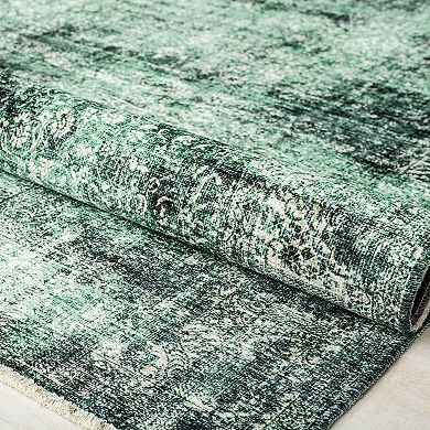 Rugs America Iggi Vintage Transitional Rug