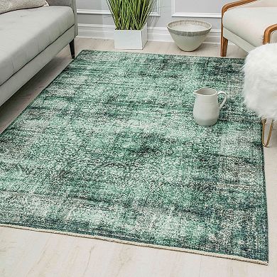 Rugs America Iggi Vintage Transitional Rug