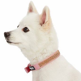 Blueberry Pet Sparkling Rhinestone Dog Collar