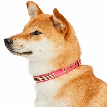 Blueberry Pet Sparkling Rhinestone Dog Collar