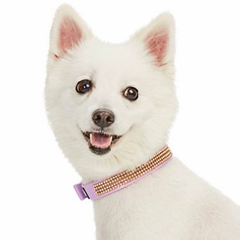 Blueberry Pet Sparkling Rhinestone Dog Collar