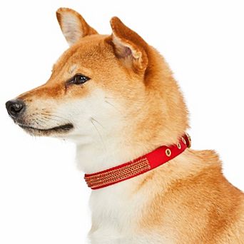 Blueberry Pet Sparkling Rhinestone Dog Collar