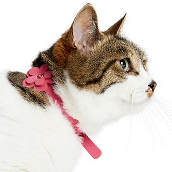 Blueberry Pet Perfect-fit Faux Leather Cat Collar