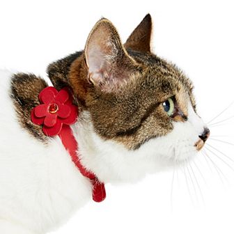 Blueberry Pet Perfect-fit Faux Leather Cat Collar