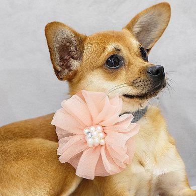 Blueberry Pet Flower & Green Teardrop Charm Dog Collar Accessory Set