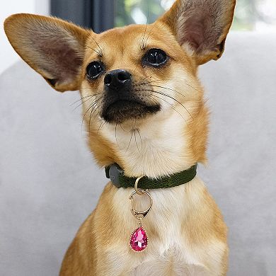 Blueberry Pet Flower & Pink Teardrop Charm Dog Collar Accessory Set