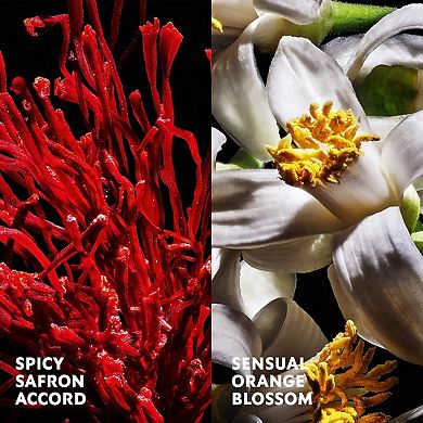 Libre Le Parfum with Orange Blossom & Saffron