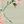 Sage Ivory Pink