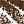 10 Matte Brown