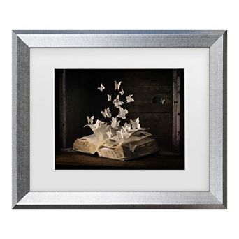 Trademark Fine Art Lepidopterology Butterfly Framed Wall Art