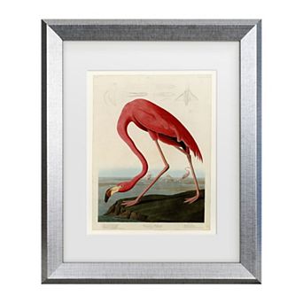 Trademark Fine Art John James Audubon American Flamingo Framed Wall Art