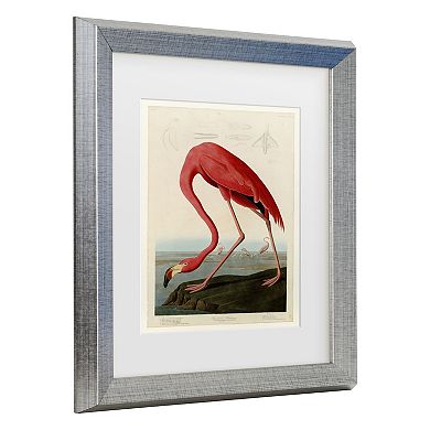 Trademark Fine Art John James Audubon American Flamingo Framed Wall Art
