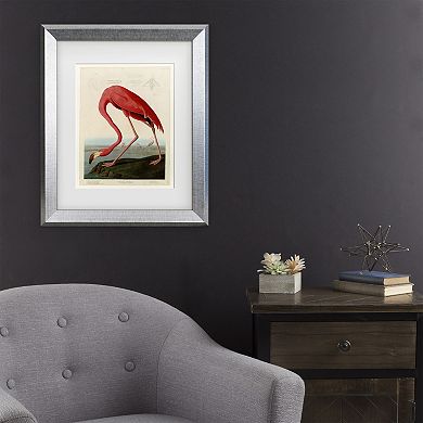 Trademark Fine Art John James Audubon American Flamingo Framed Wall Art