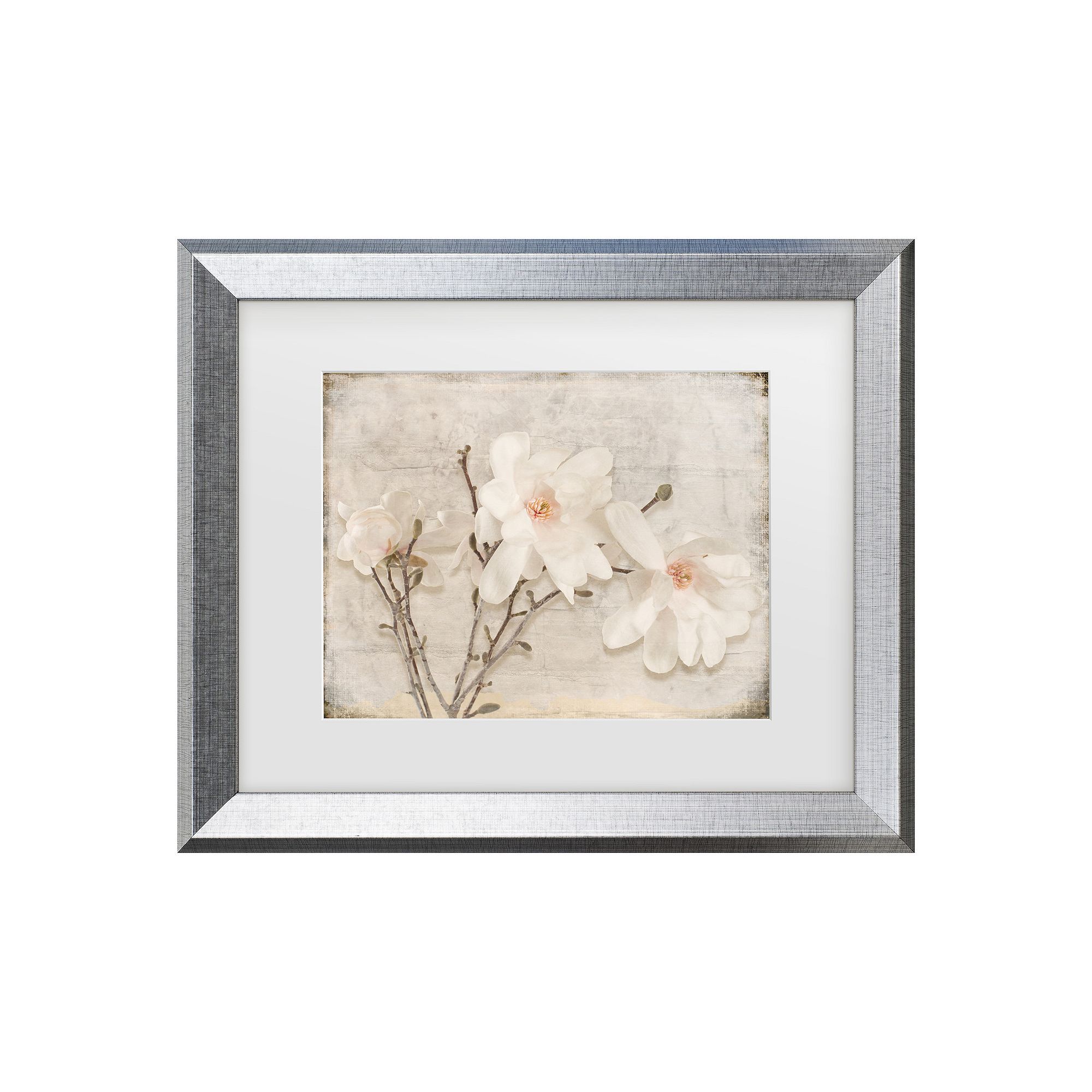 Trademark Fine Art LightBoxJournal Spring Magnolia Matted Framed Art, Multi