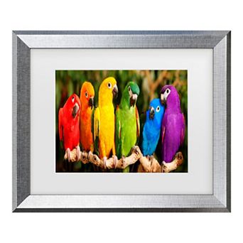 Trademark Fine Art Mike Jones Photo Rainbow Parrots Matted Framed Art