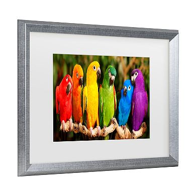 Trademark Fine Art Mike Jones Photo Rainbow Parrots Matted Framed Art