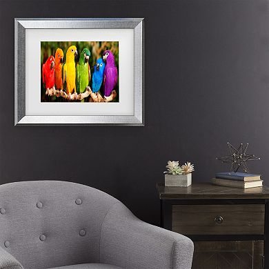Trademark Fine Art Mike Jones Photo Rainbow Parrots Matted Framed Art
