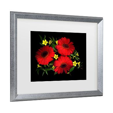 Trademark Fine Art Susan S. Barmon Gerbera Daisy And Carolina Jasmine Matted Framed Art