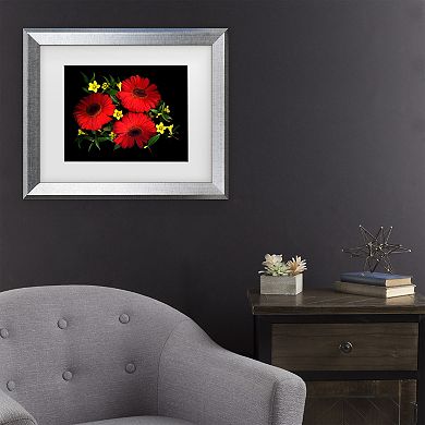 Trademark Fine Art Susan S. Barmon Gerbera Daisy And Carolina Jasmine Matted Framed Art
