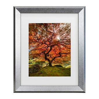 Trademark Fine Art Moises Levy The Tree Vertical Matted Framed Art