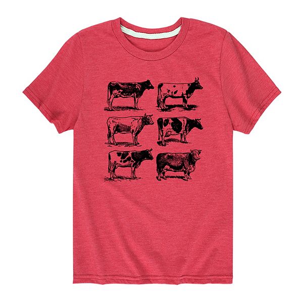 Boys 8-20 Types Of Cows Graphic Tee