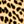 Tan Cheetah