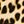 Tan Cheetah