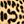 Tan Cheetah