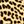 Tan Cheetah